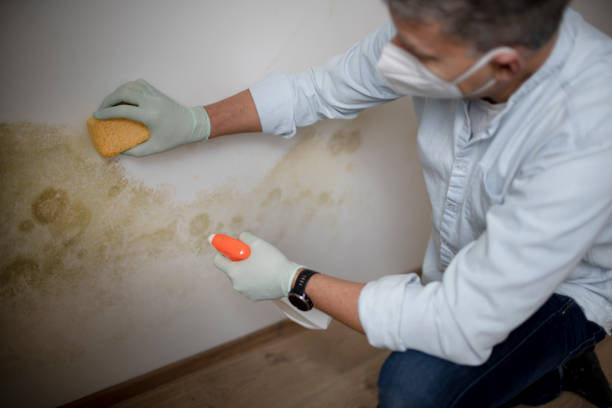 Crawl Space Mold Removal in Landisville, PA