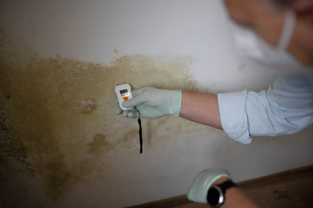 Best Residential Mold Removal  in Landisville, PA