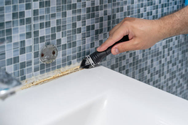 Best Black Mold Removal  in Landisville, PA
